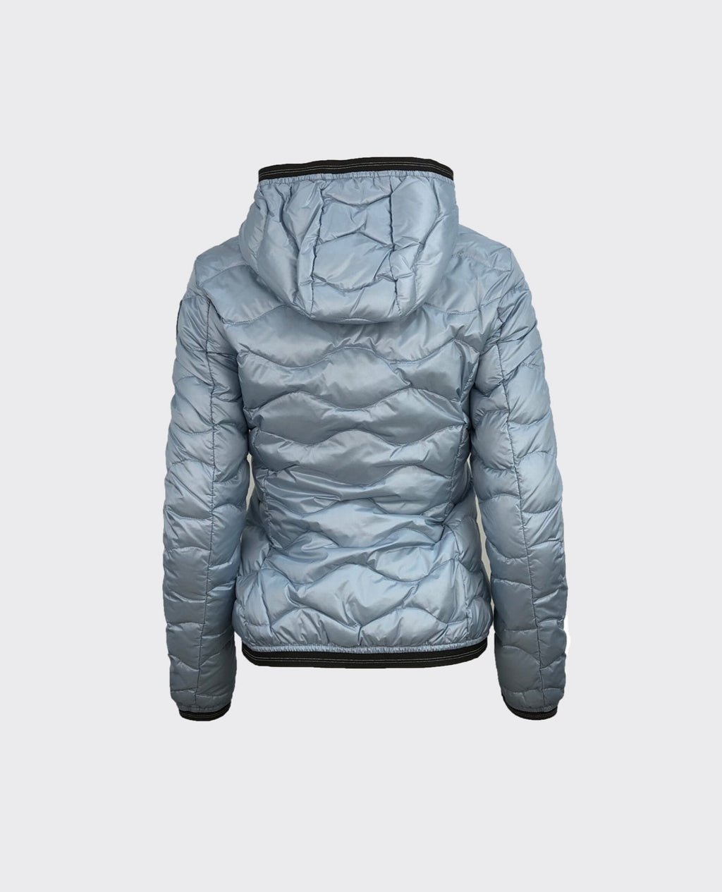 GIUBBINO BLAUER CORTO DONNA ONDE TURCHESE